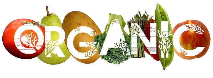 Organic Food Ingredients